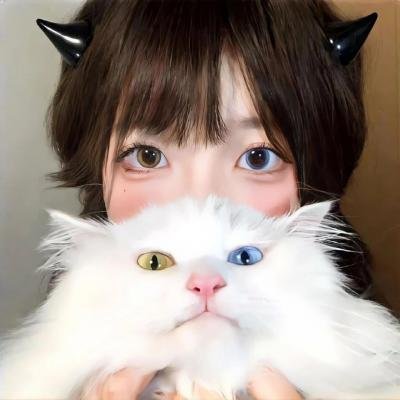 火力少年王 动画版 续集